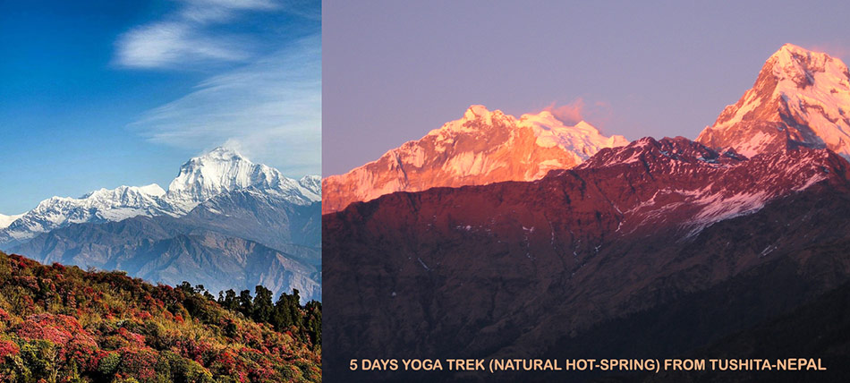 yoga trek in Nepal